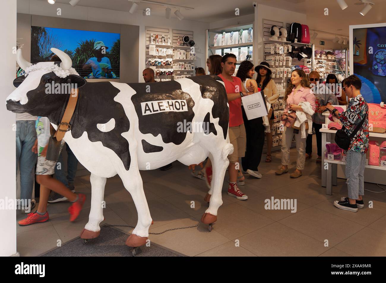 Sitges, Barcelona, Spain-June 05, 2024: Painted cow model featuring Ale-Hop logo inside a busy store with diverse products on shelves. Stock Photo