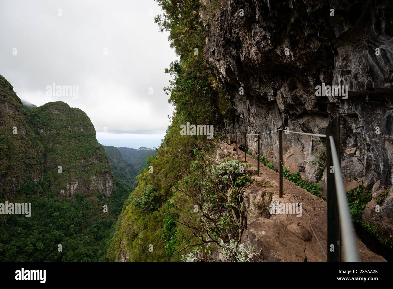 Cliff Rails Railings by cliff edges near forested area Stock Photo - Alamy
