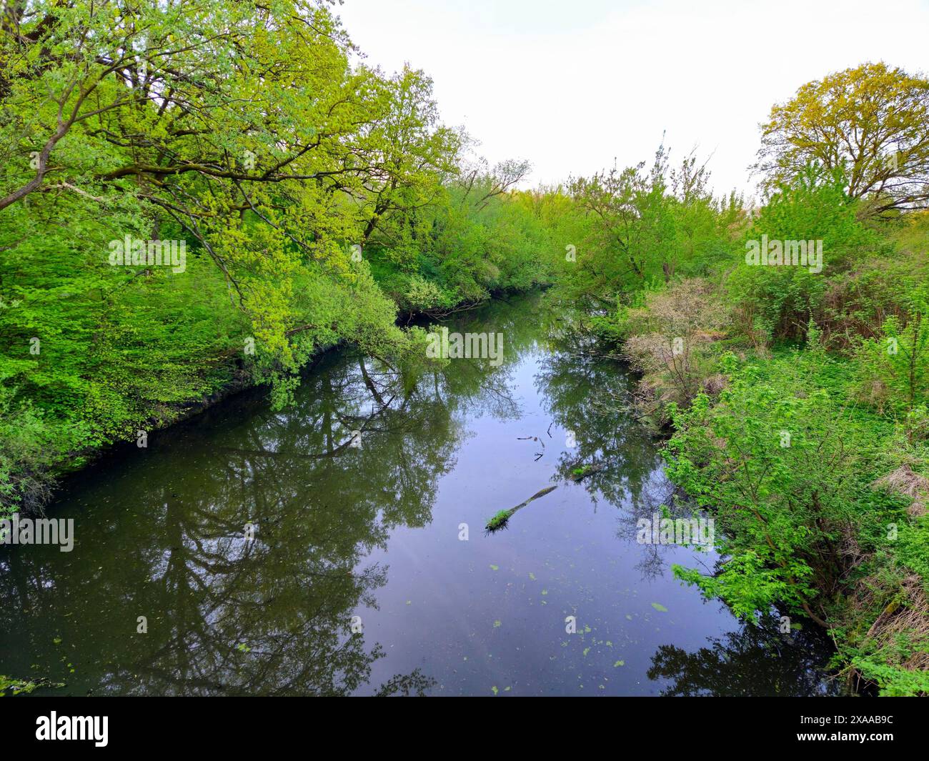 Greenery Near Rivers Lush greenery and trees by river hi-res stock photography and images ...