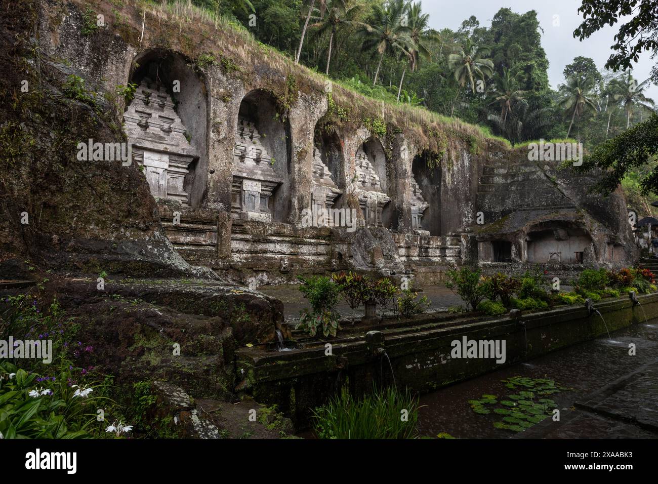 Of ancient plant structures hi-res stock photography and images - Alamy