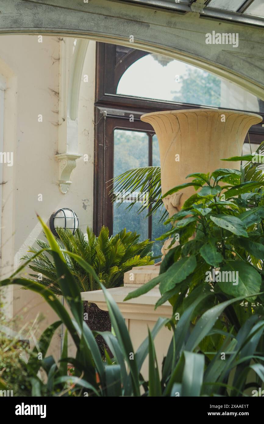 Lush tropical potted plants hi-res stock photography and images - Alamy