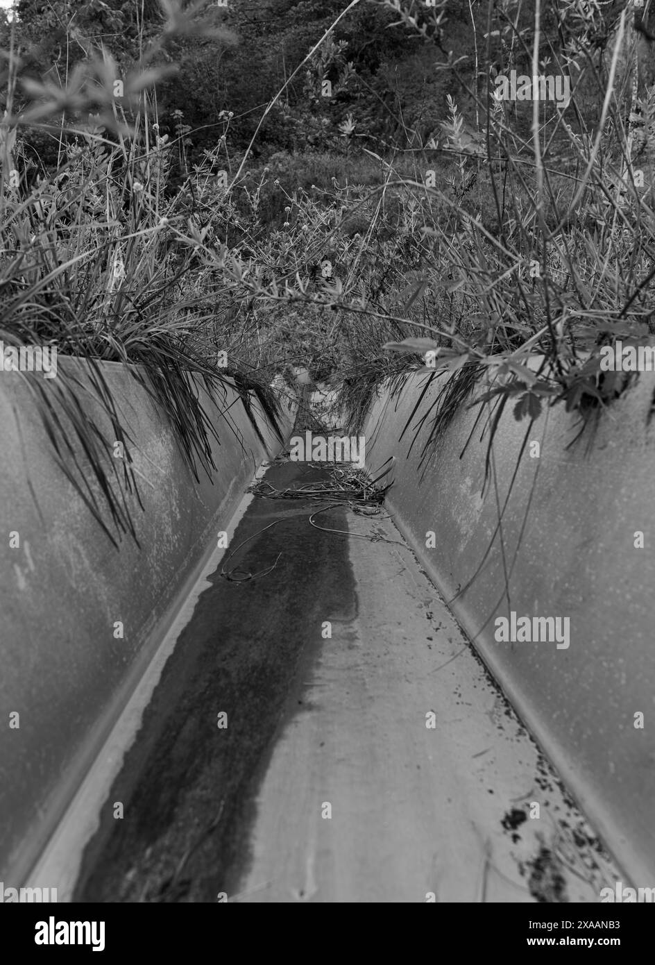 inside a gutter, black and white Stock Photo Alamy