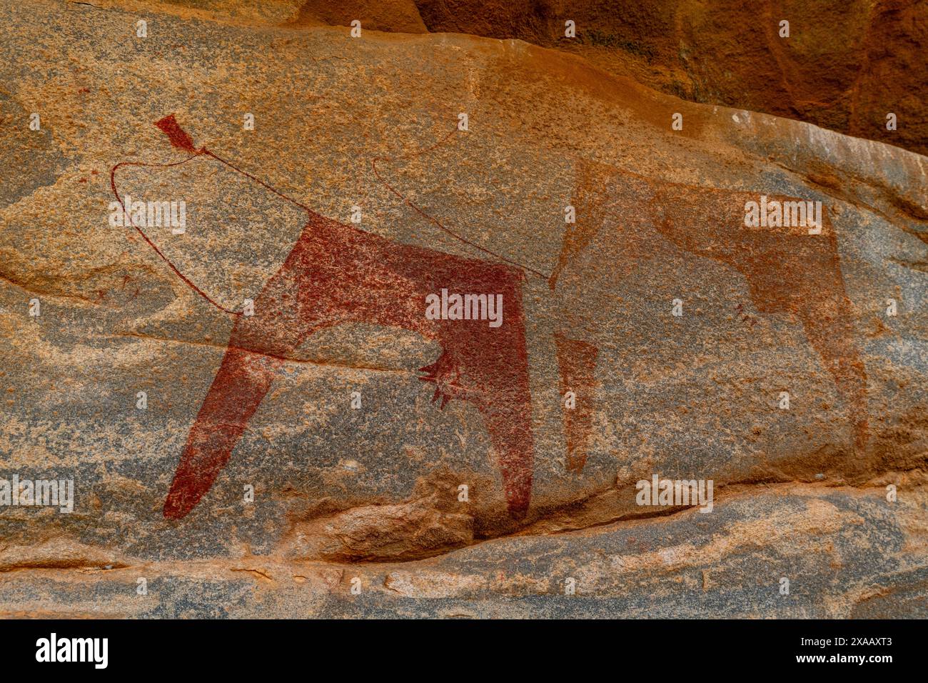 Rock art paintings of Laas Geel, near Hargeisa, Somaliland, Somalia, Africa Stock Photo