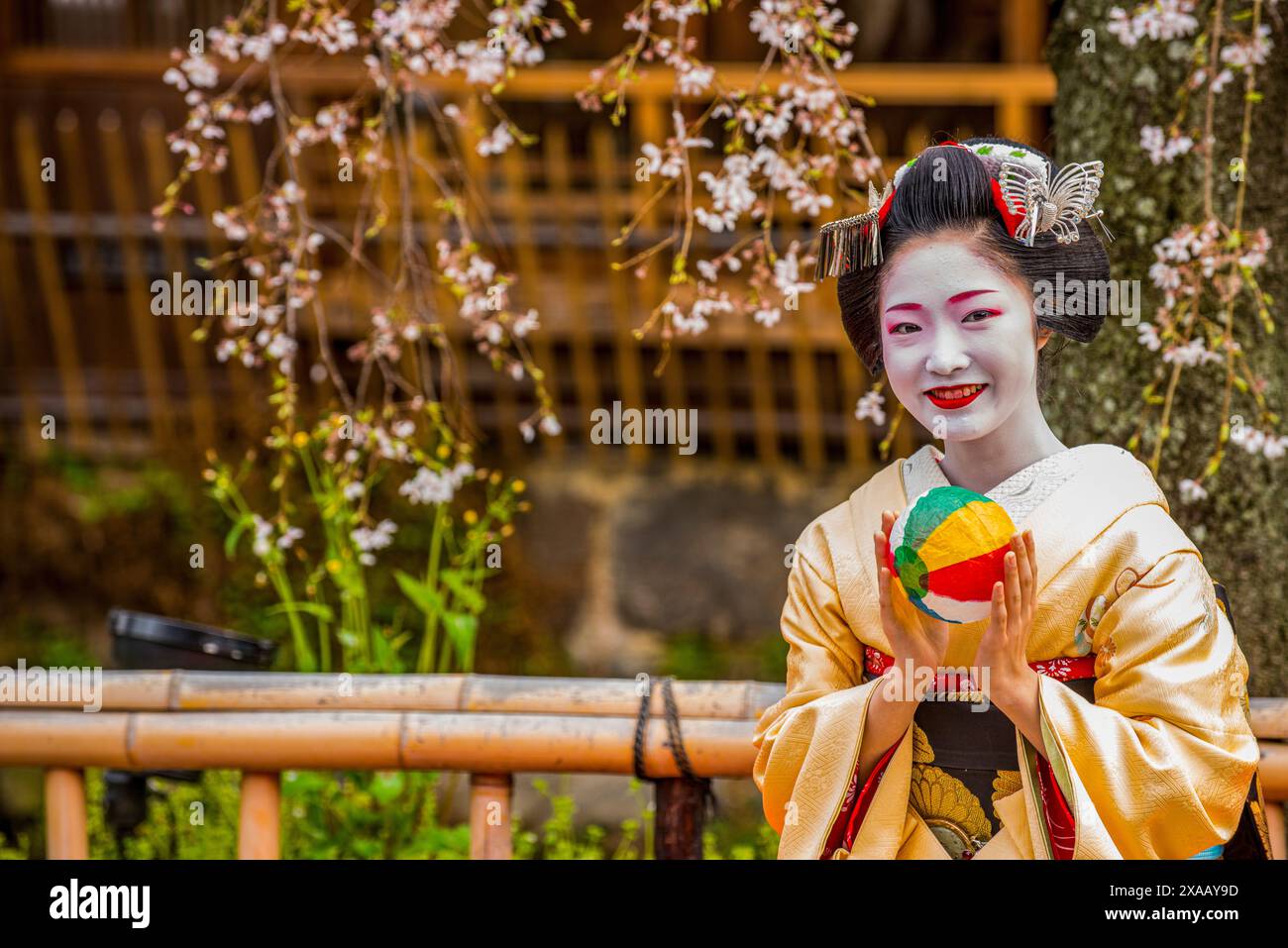 Real Geisha posing in front of a cherry blossom tree in the Geisha ...