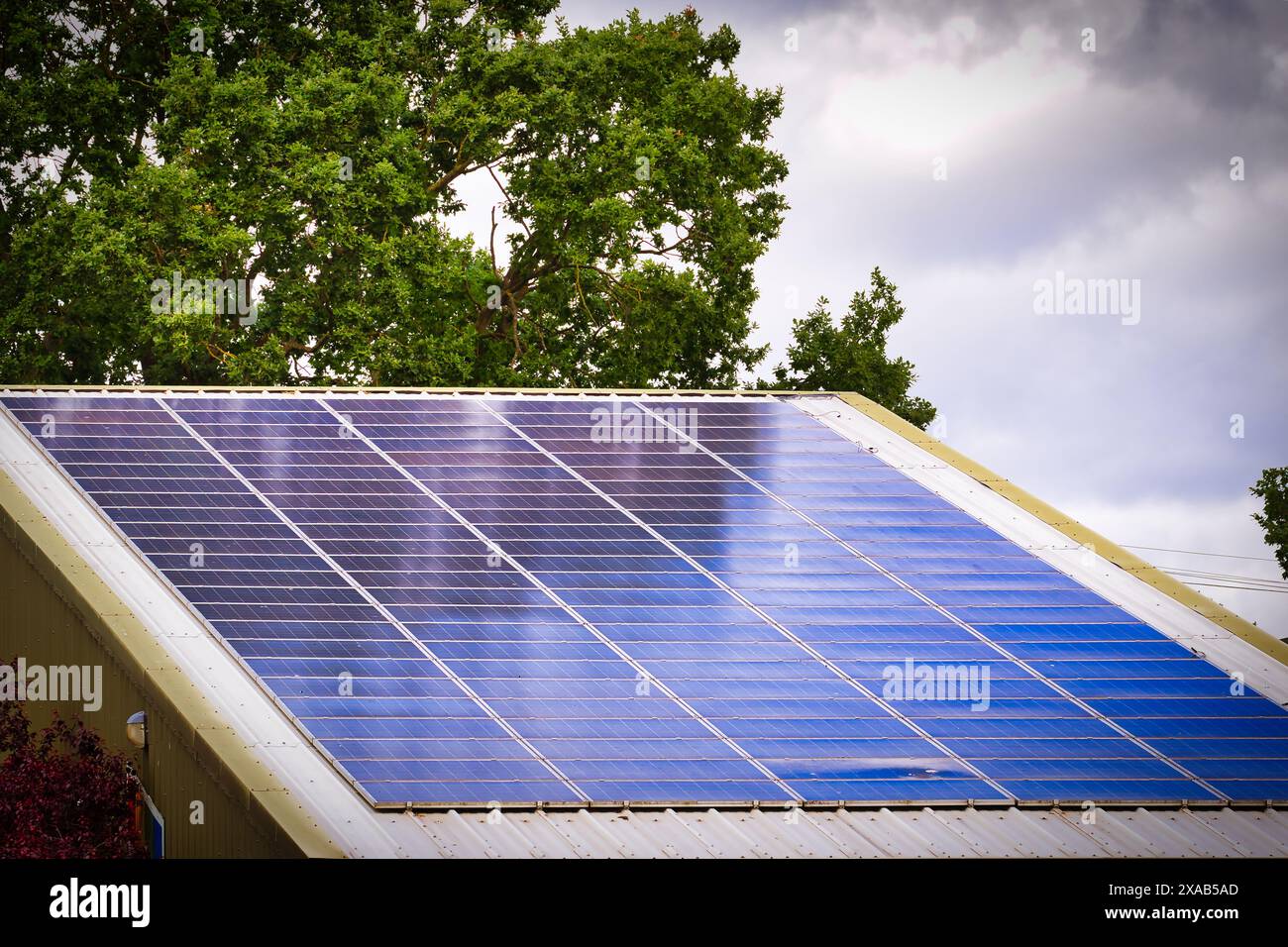 A rooftop with solar panels installed, set against a backdrop of trees ...