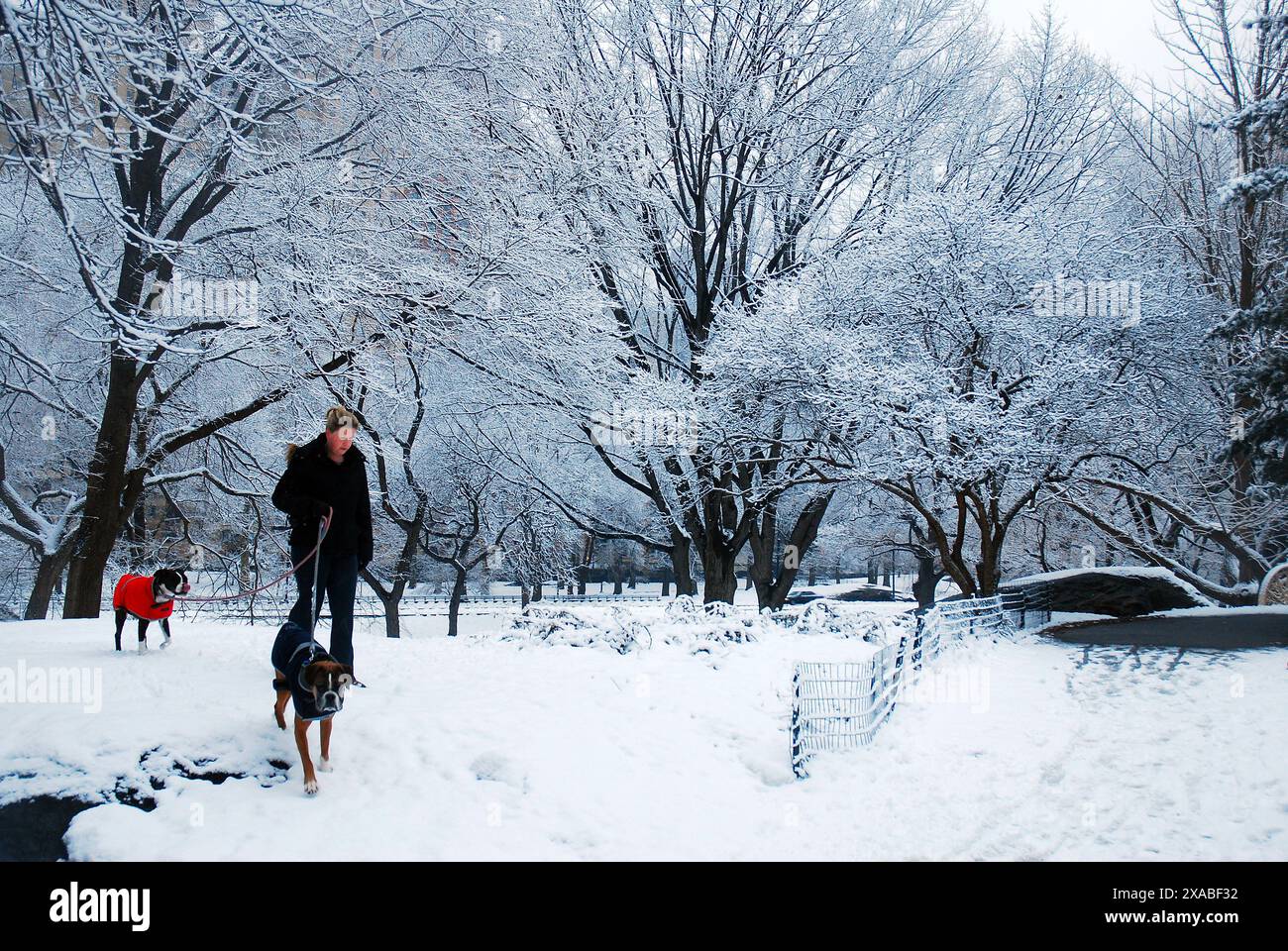 Snow and winters in new york hi-res stock photography and images - Alamy