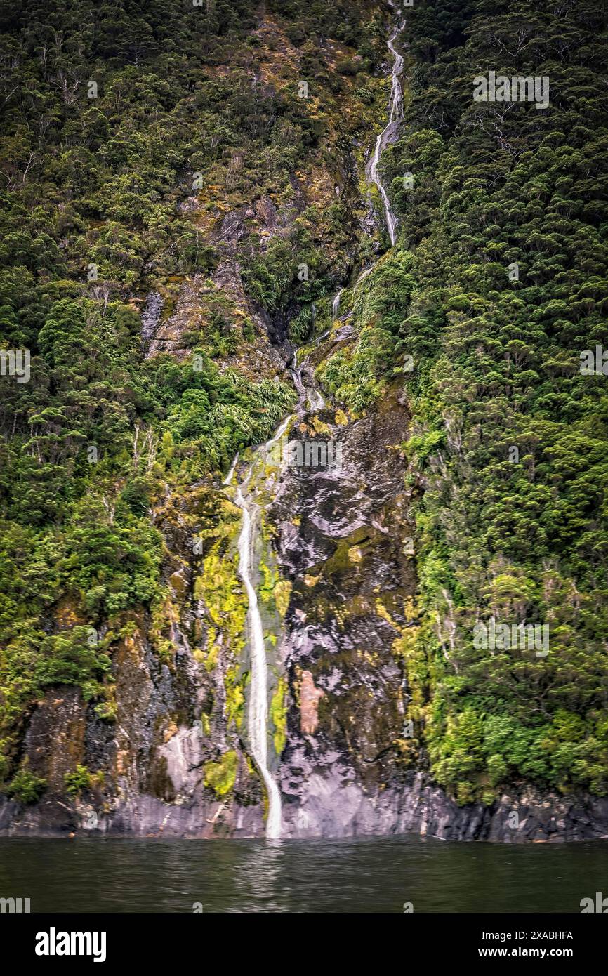 A Tour Of Milford Sound In Fiordland South Island New Zealand Passes a-tour-of-milford-sound-in-fiordland-south-island-new-zealand-passes
