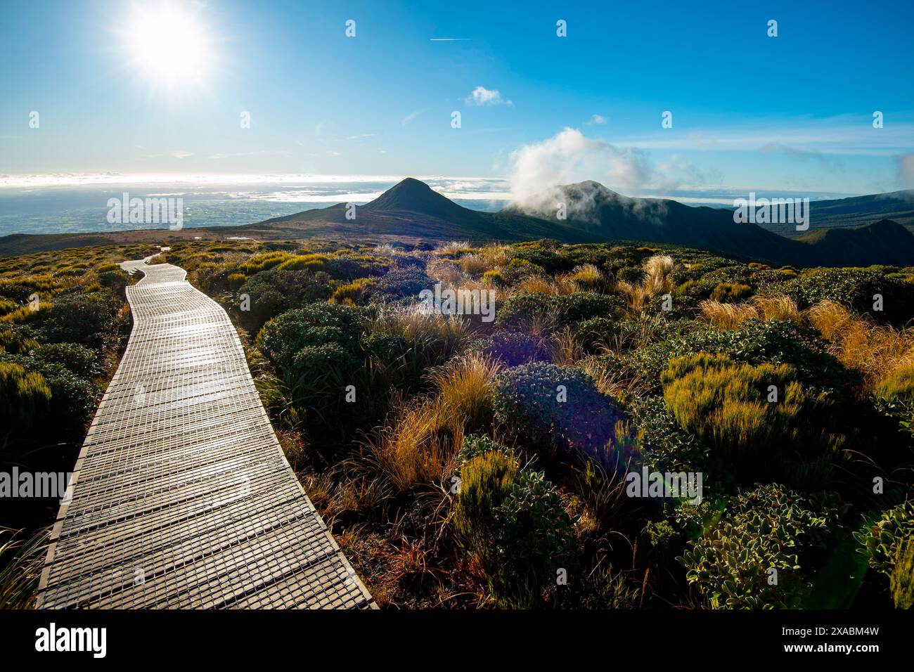 Pouakai Circuit Track - New Zealand Stock Photo - Alamy