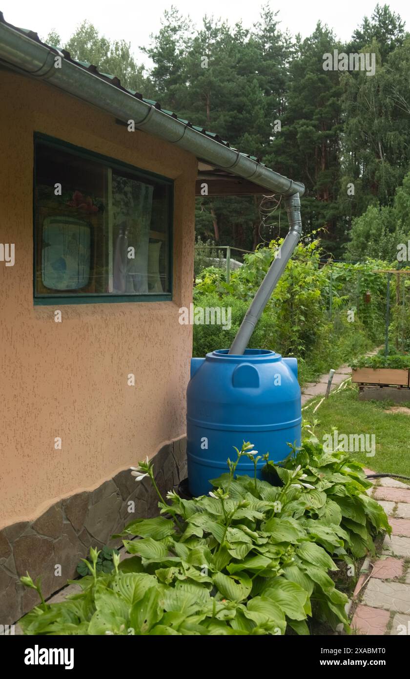 Blue rainwater barrel connected to a downspout on the side of a rural