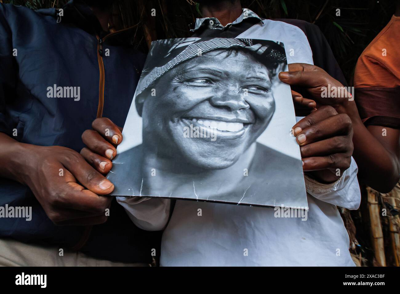 Wangari maathai planting a tree hi-res stock photography and images - Alamy