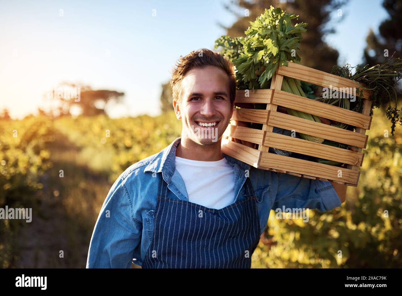 Portrait, farmer and man with smile, vegetables and agriculture with ...