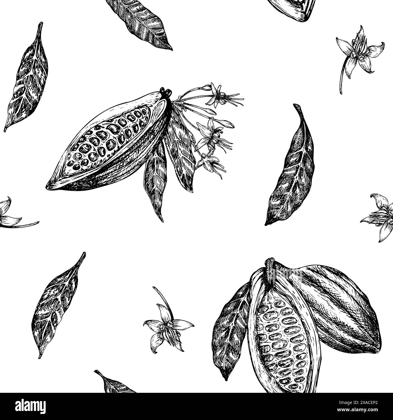 Seamless pattern with cocoa fruit graphic illustration, hand drawn sketch of vegetable, leaves, flowers. Botanical drawing of tropical fruit Stock Photo