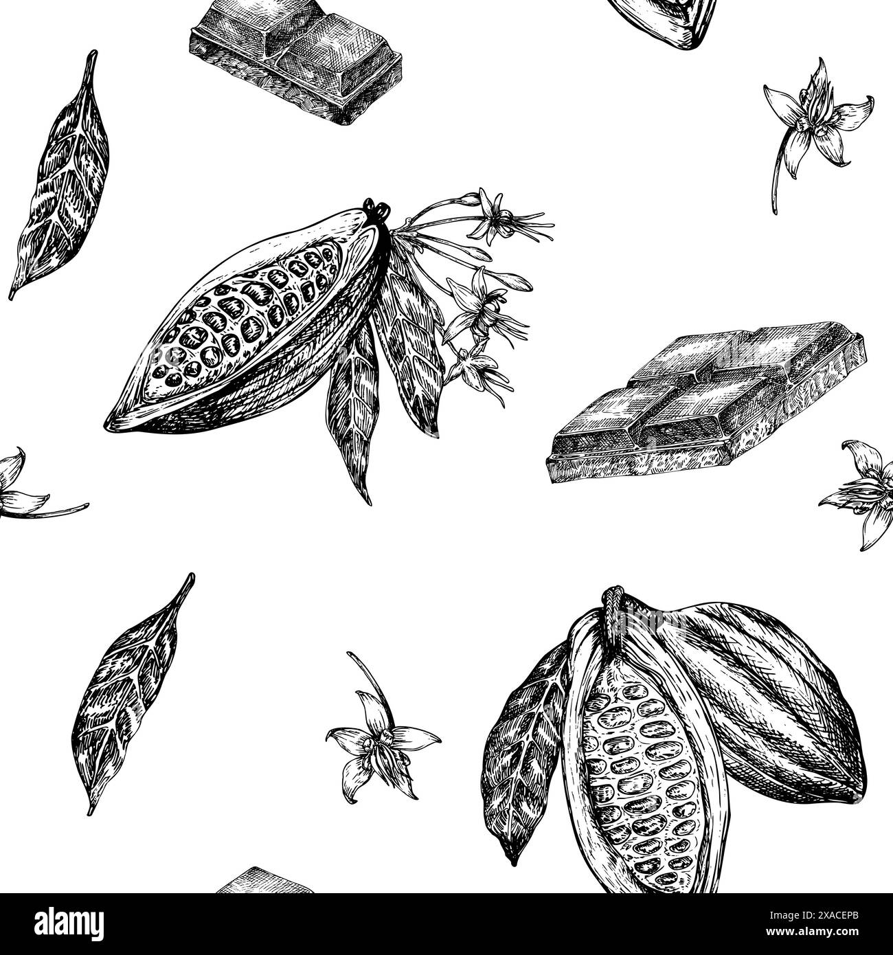 Seamless pattern with cocoa fruit and chocolate graphic illustration, hand drawn sketch of vegetable, leaves, flowers. Botanical drawing of tropical Stock Photo