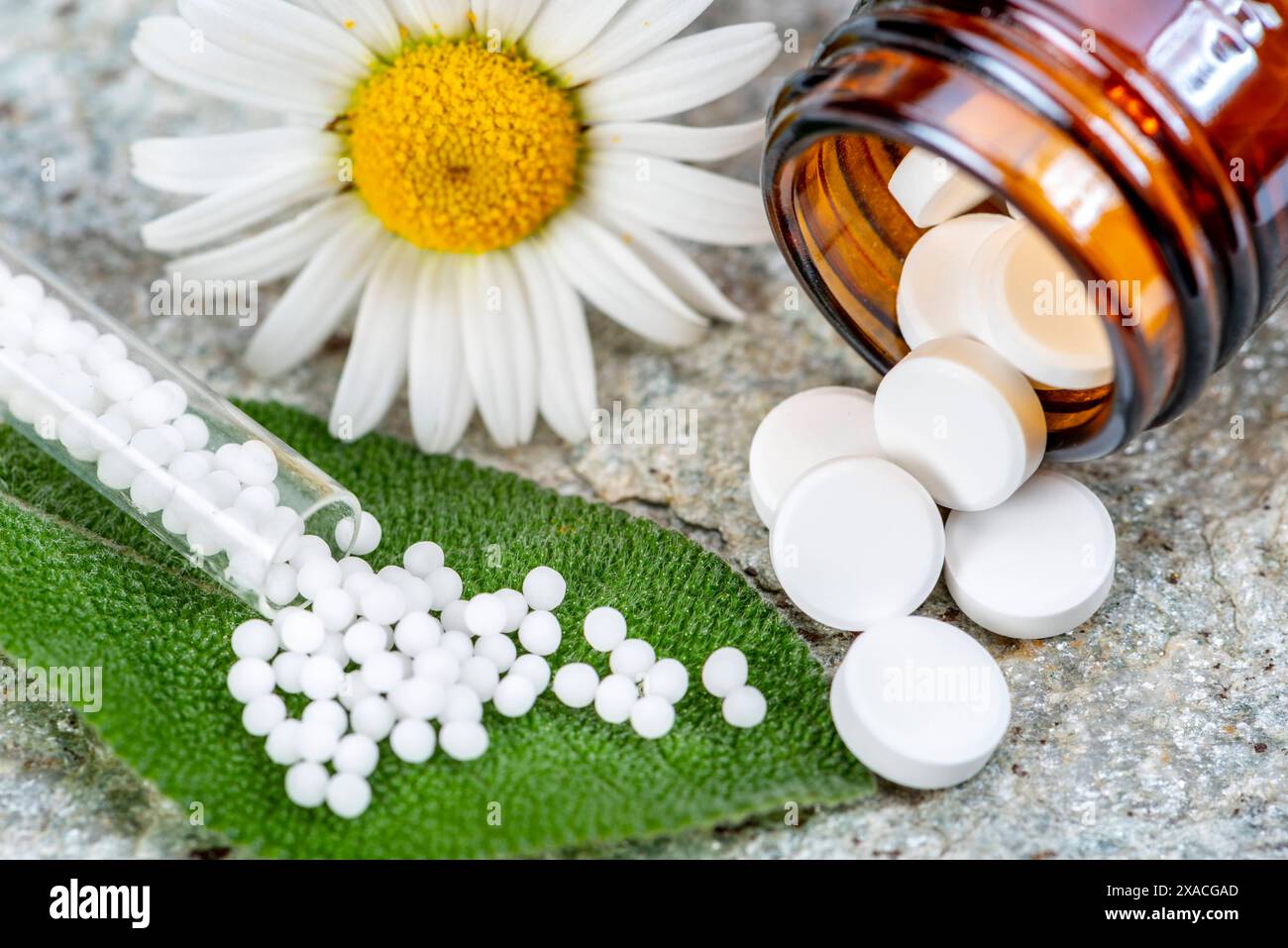 Naturmedizin mit Globuli Globuli werden in der Naturmedizin und Homöopathie als Heilmittel verwendet *** Natural medicine with globules Globules are u Stock Photo