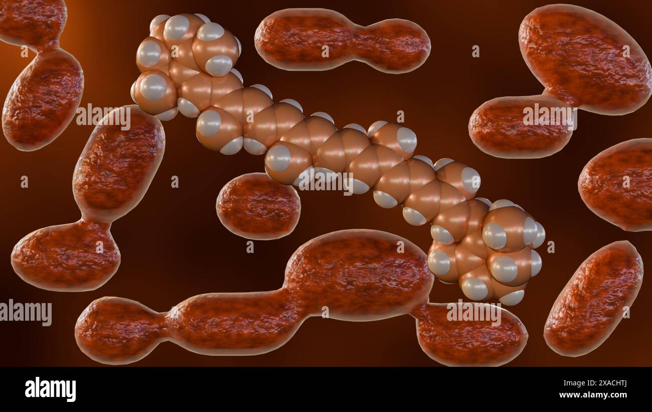 3D rendering of which can produce carotenoids especially