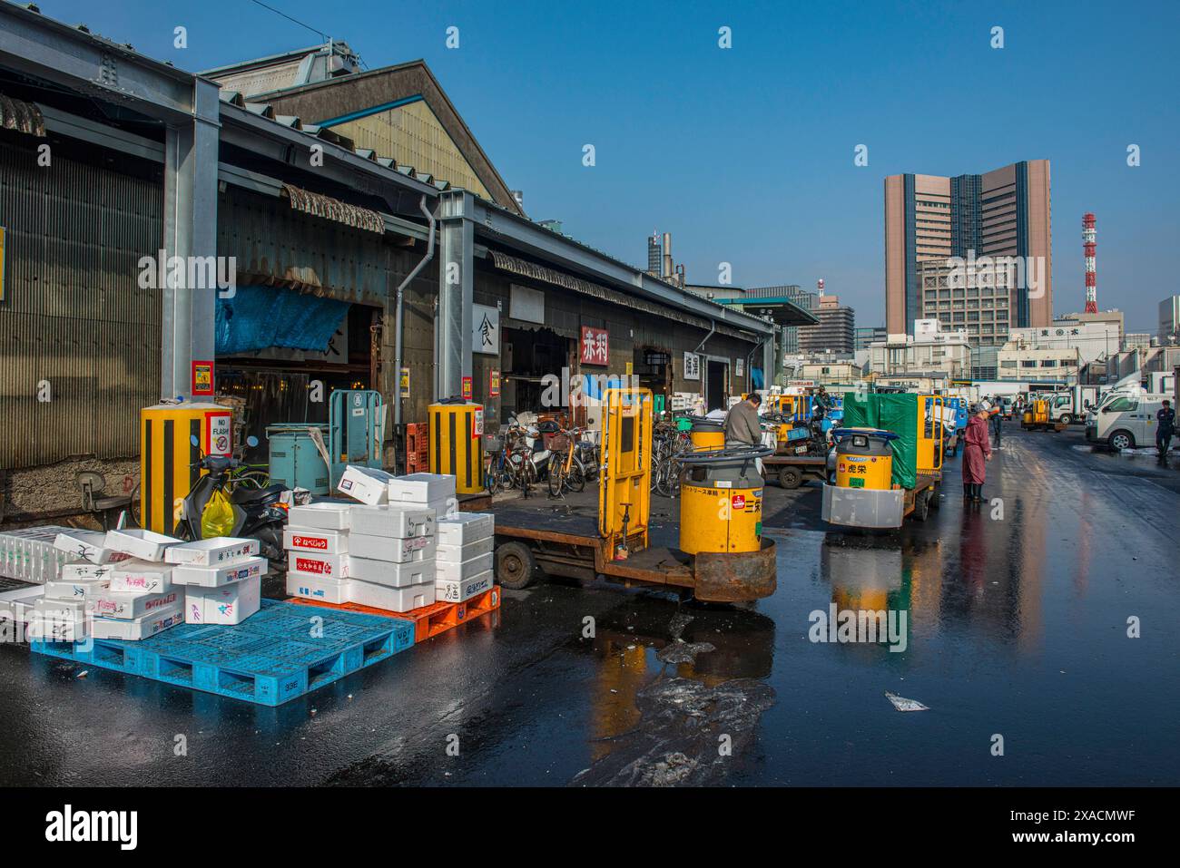 Asia japan honshu tokyo tsukiji hi-res stock photography and images - Alamy