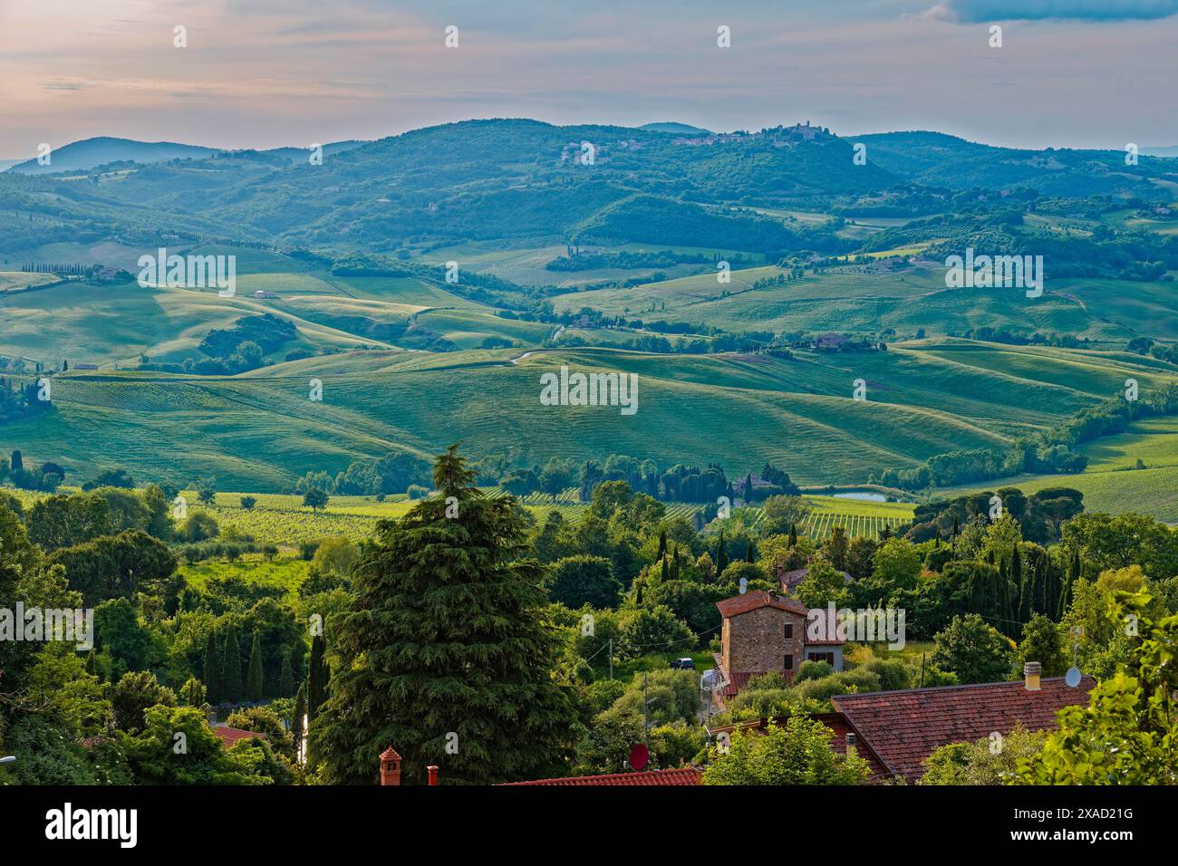 Landscape in the rays of the evening sun near Montepulciano in Tuscany ...