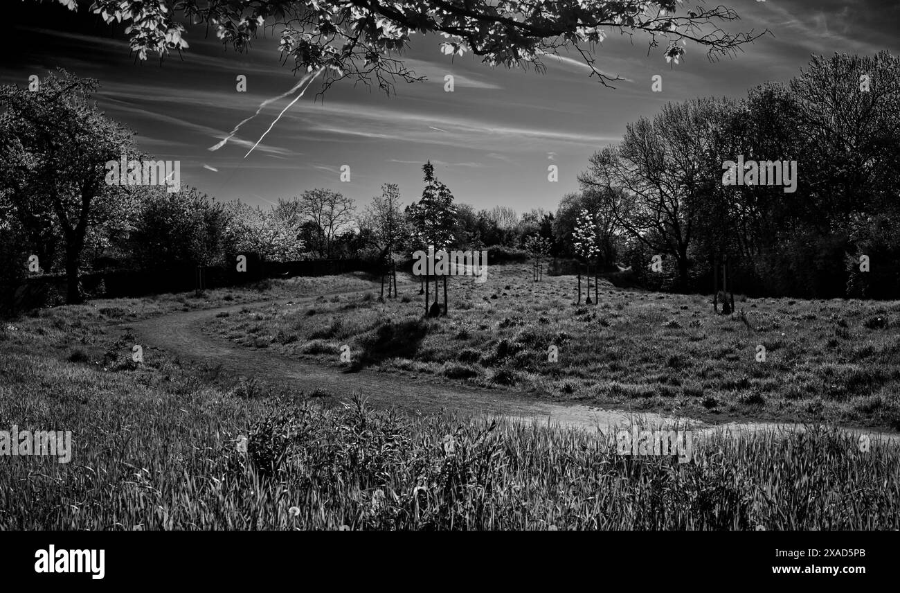 Sunny black and white hi-res stock photography and images - Alamy
