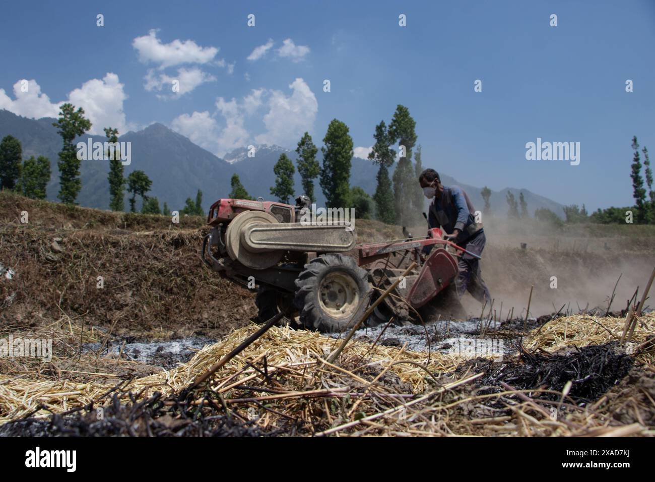 Srinagar, Jammu And Kashmir, India. 6th June, 2024. A farmer drives an agricultural machine to turn over fields for rice planting on the outskirts of Srinagar. (Credit Image: © Adil Abass/ZUMA Press Wire) EDITORIAL USAGE ONLY! Not for Commercial USAGE! Stock Photo