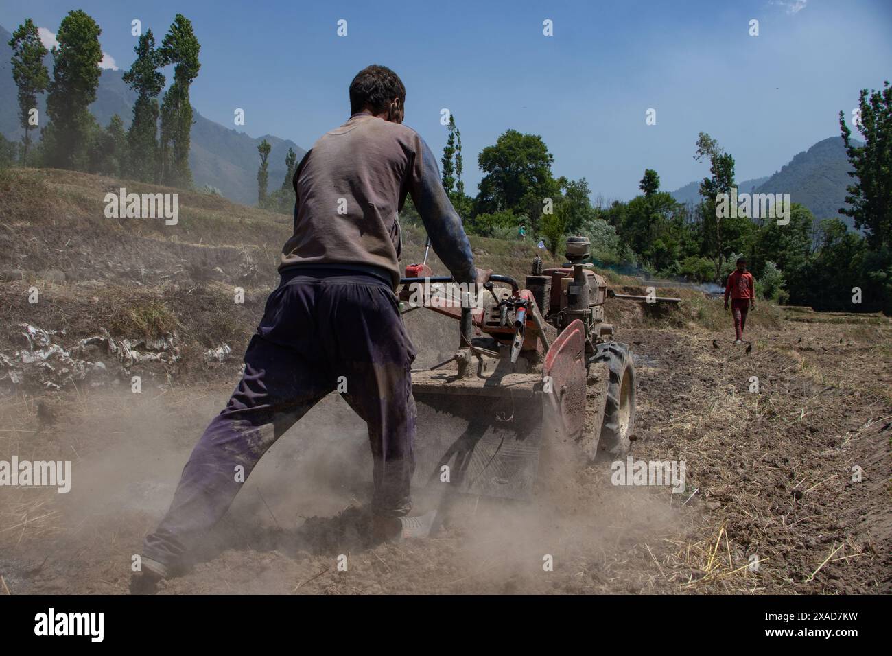 Srinagar, Jammu And Kashmir, India. 6th June, 2024. A farmer drives an agricultural machine to turn over fields for rice planting on the outskirts of Srinagar. (Credit Image: © Adil Abass/ZUMA Press Wire) EDITORIAL USAGE ONLY! Not for Commercial USAGE! Stock Photo
