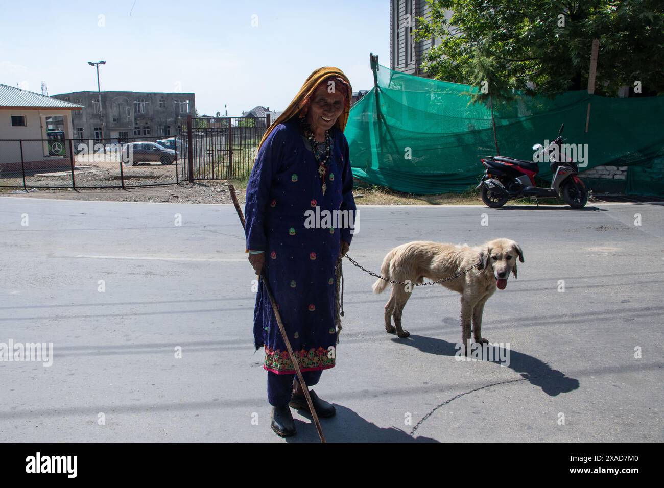 Srinagar, Jammu And Kashmir, India. 6th June, 2024. A Nomad woman with her dog walks along the street as they move to higher reaches in the summer during a sunny day on the outskirts of Srinagar. (Credit Image: © Adil Abass/ZUMA Press Wire) EDITORIAL USAGE ONLY! Not for Commercial USAGE! Stock Photo