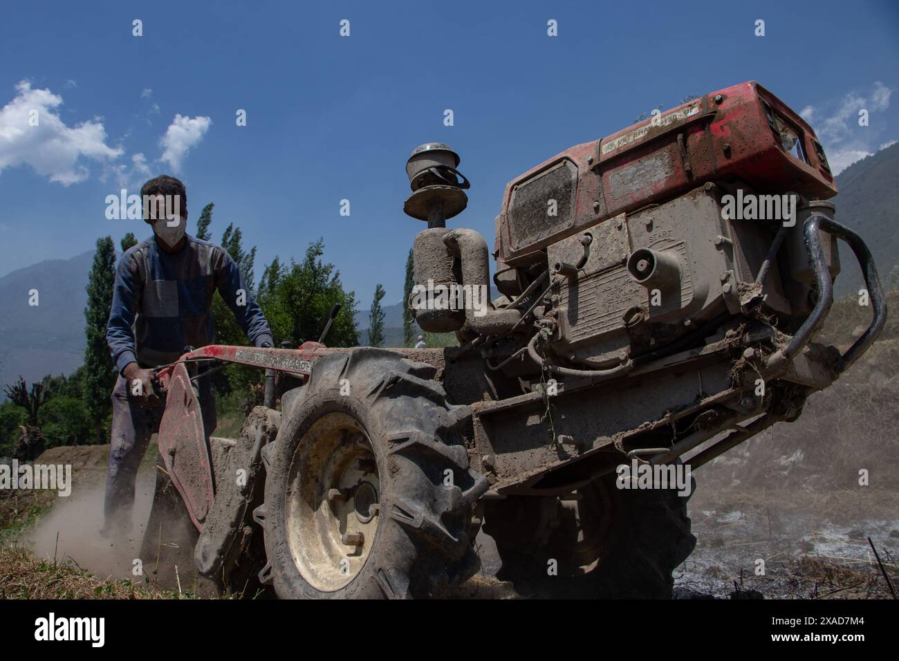 Srinagar, Jammu And Kashmir, India. 6th June, 2024. A farmer drives an agricultural machine to turn over fields for rice planting on the outskirts of Srinagar. (Credit Image: © Adil Abass/ZUMA Press Wire) EDITORIAL USAGE ONLY! Not for Commercial USAGE! Stock Photo