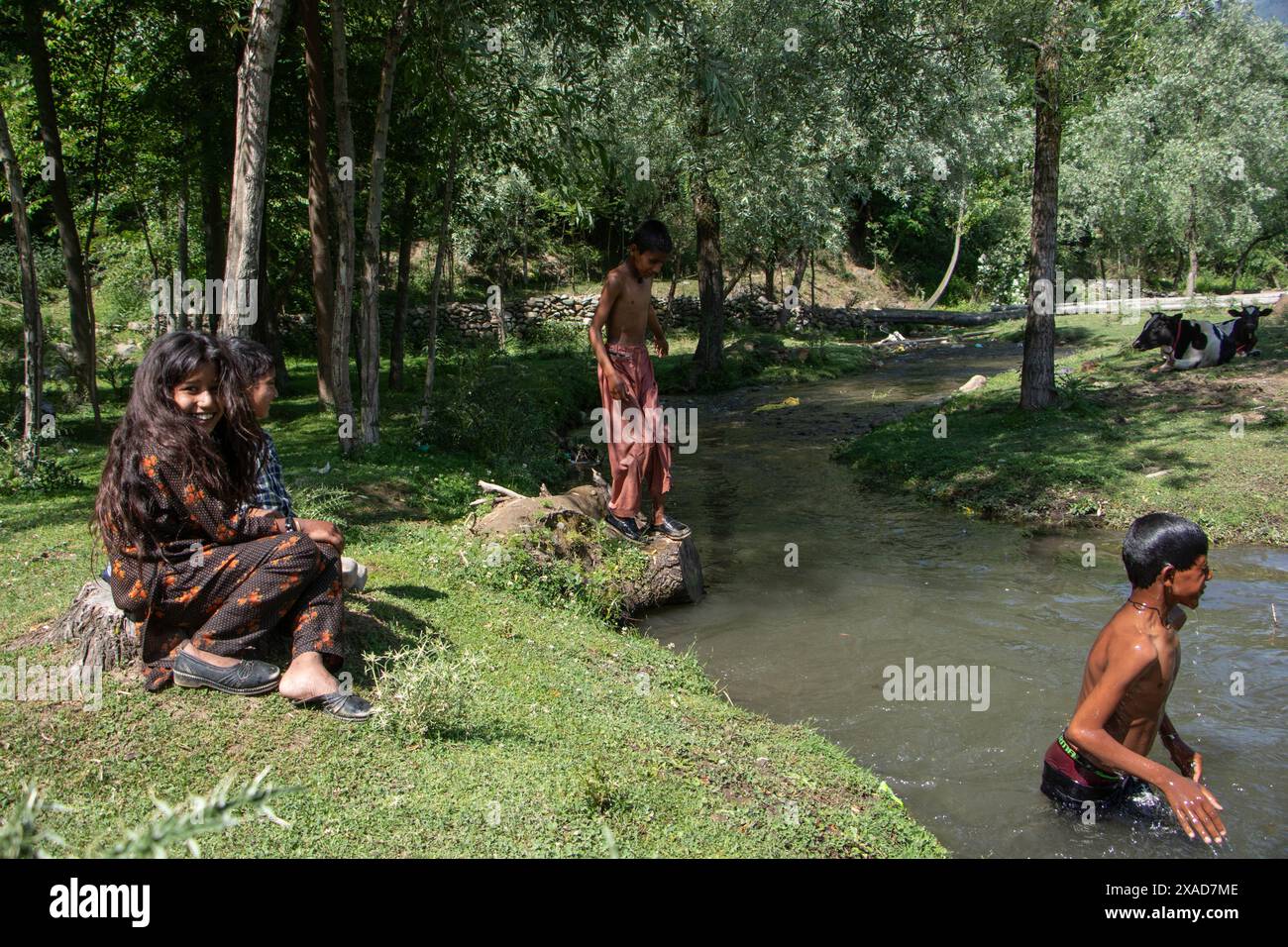 Srinagar, Jammu And Kashmir, India. 6th June, 2024. Young nomadic children are bathing in a stream to find relief from the heat on a hot summer day on the outskirts of Srinagar. (Credit Image: © Adil Abass/ZUMA Press Wire) EDITORIAL USAGE ONLY! Not for Commercial USAGE! Stock Photo