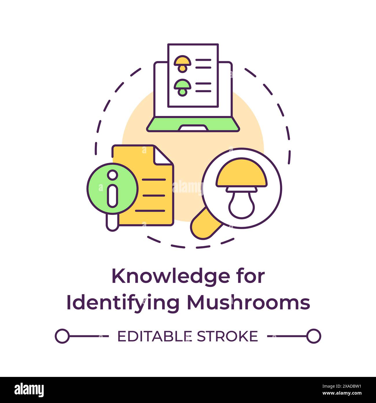 Knowledge for identifying mushrooms multi color concept icon Stock Vector