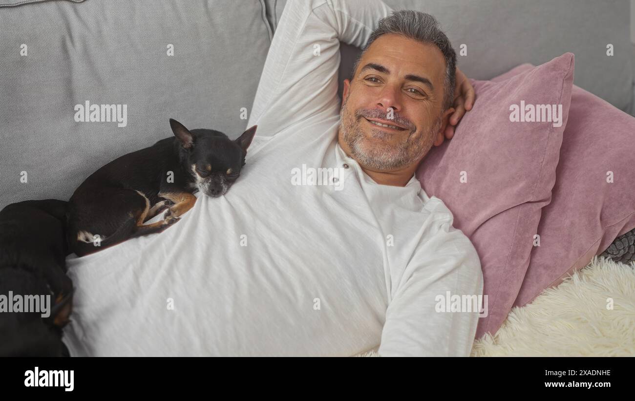 Middle-aged hispanic man relaxing on a couch in his living room with two sleeping chihuahuas. Stock Photo