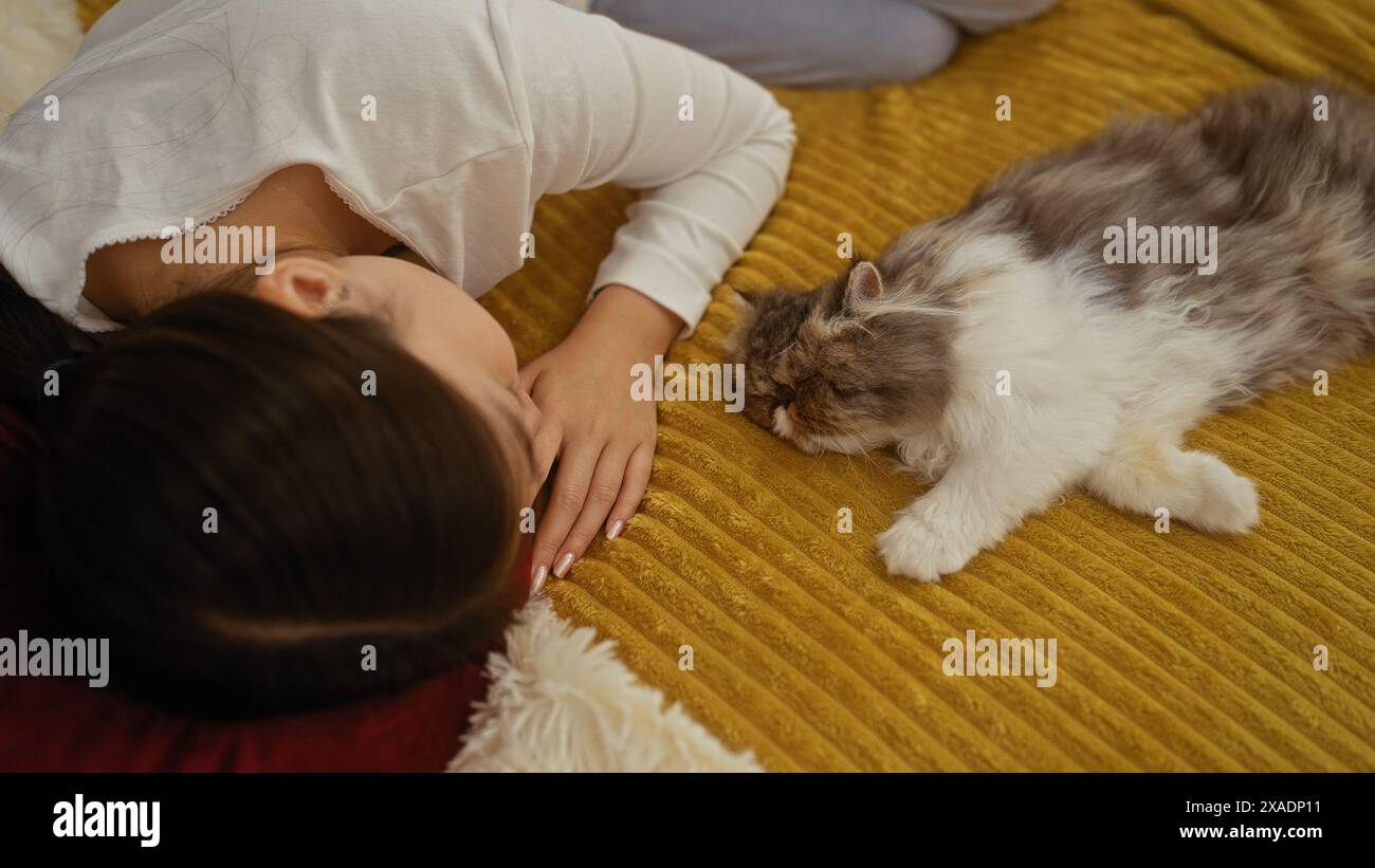 A young chinese woman lies on a bed with her fluffy cat, creating a ...