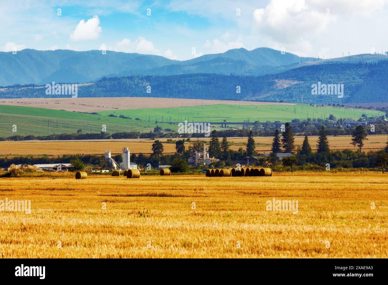 bale haystacks on the grassy agricultural field in slovakia. rural landscape of presov region in late summer. european rolling countryside landscape i Stock Photo