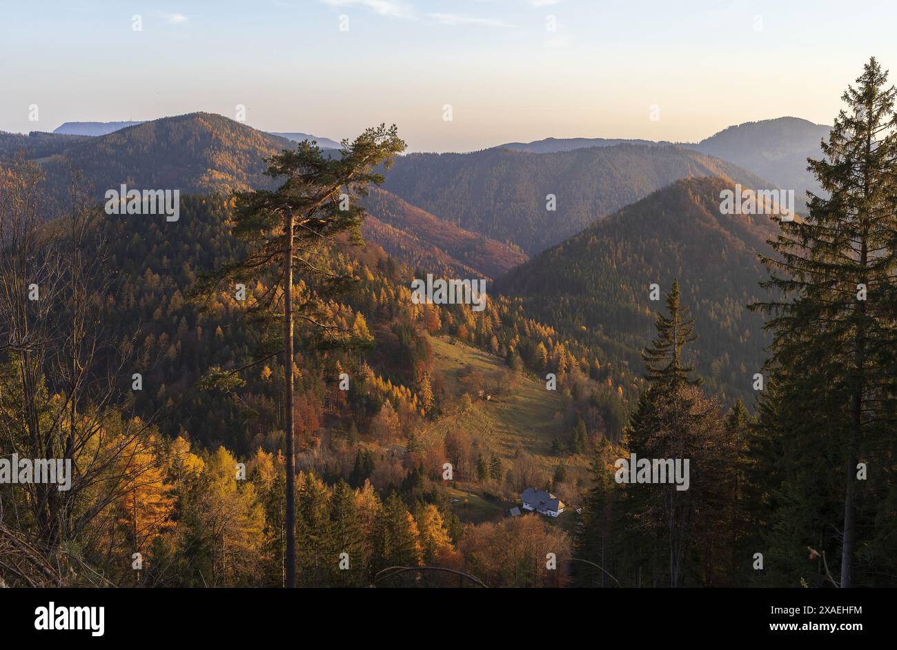 panoramic photography of Alpine mountains to a valley and forest on autumn sunset Stock Photo