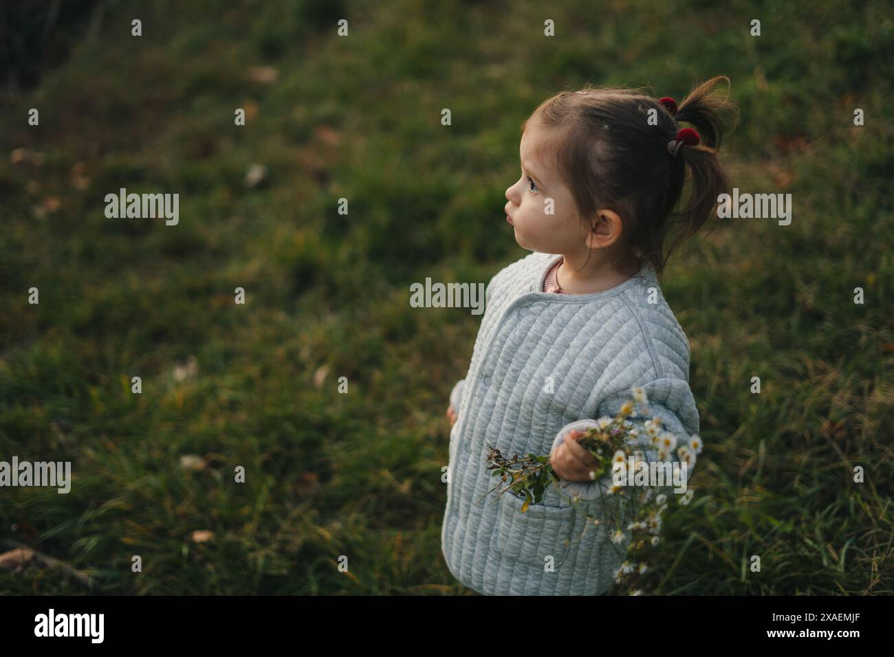 Little cute girl with a bouquet of wildflowers. Walk for the youngest ...