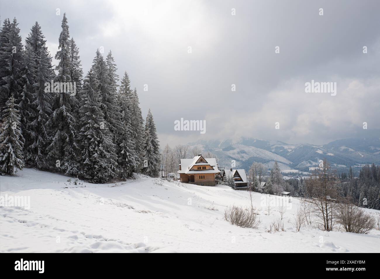 Outskirts of the forest hi-res stock photography and images - Alamy