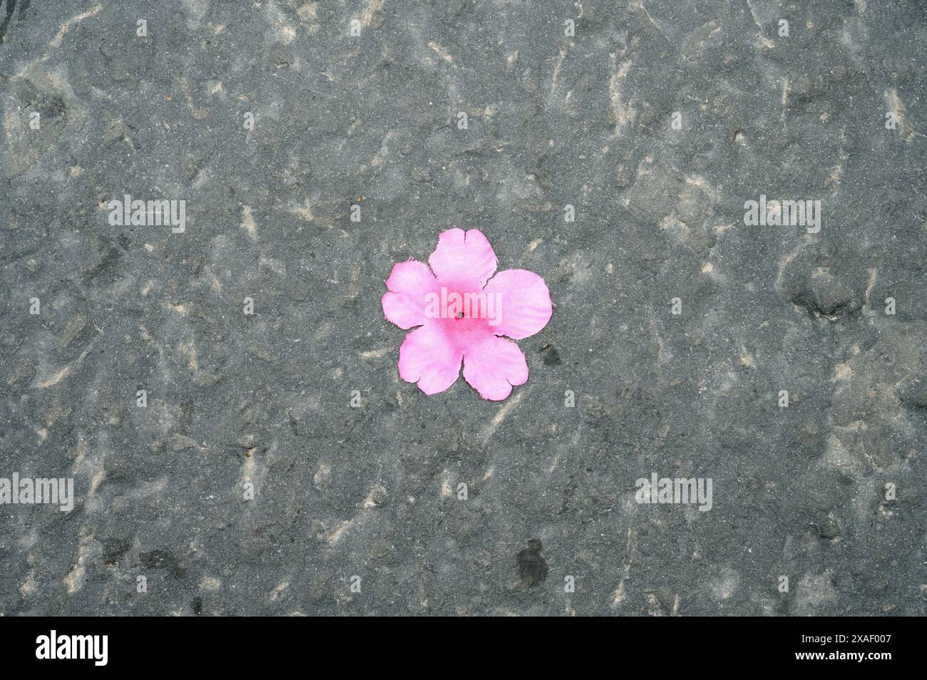 Abandoned flowers pavement hi-res stock photography and images - Alamy