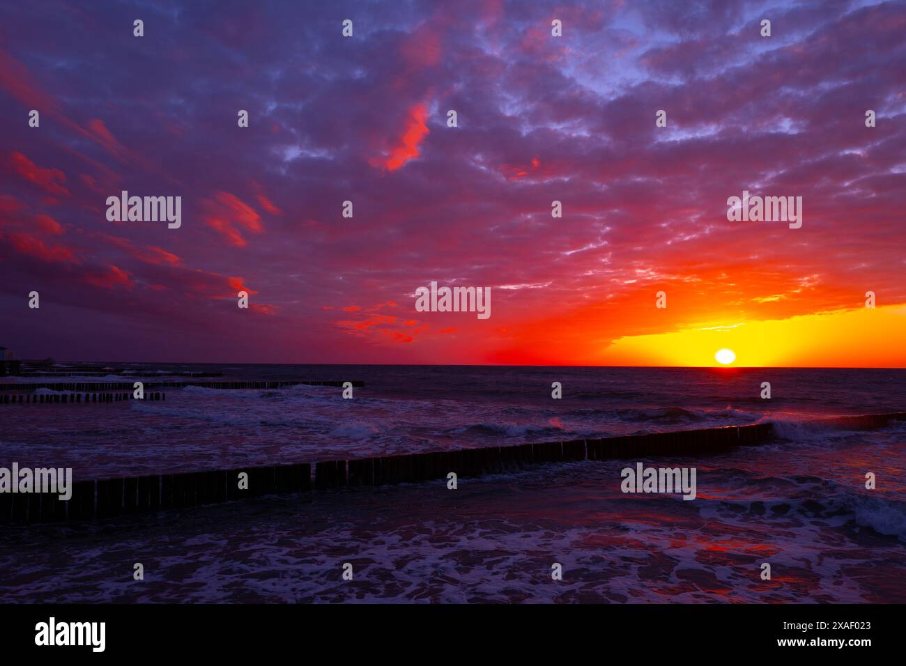 coast of the baltic sea with wooden breakwaters at sunset Stock Photo ...