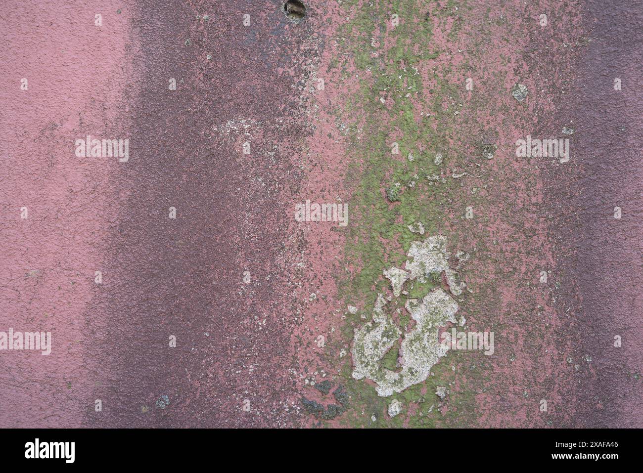 Dirty Pin Color wall with old and dirty pink color with cracked for background and ...