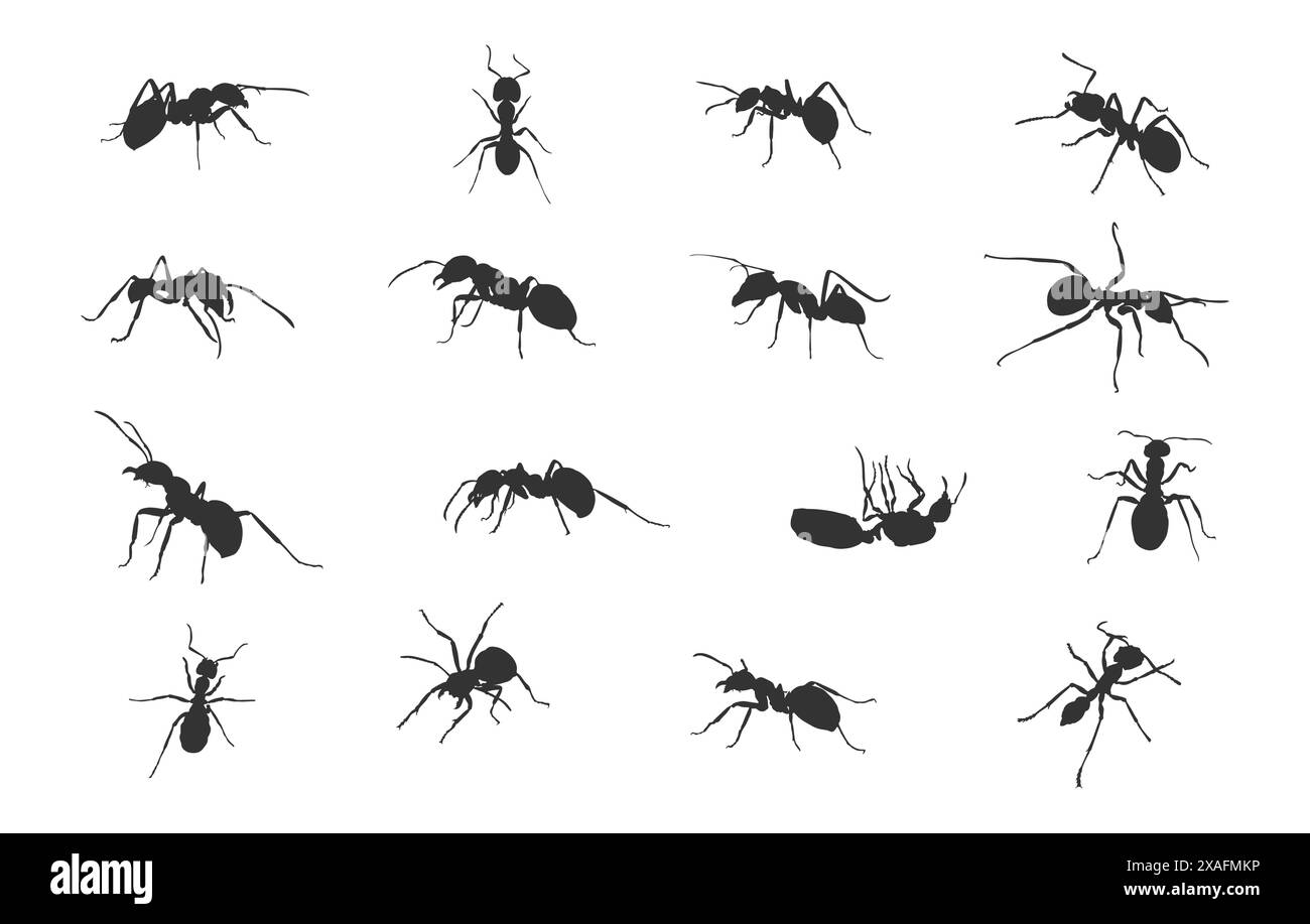 Ants silhouette,  Ant clipart,  Ant silhouette set, Ants vector set, Ant crawling silhouette Stock Vector