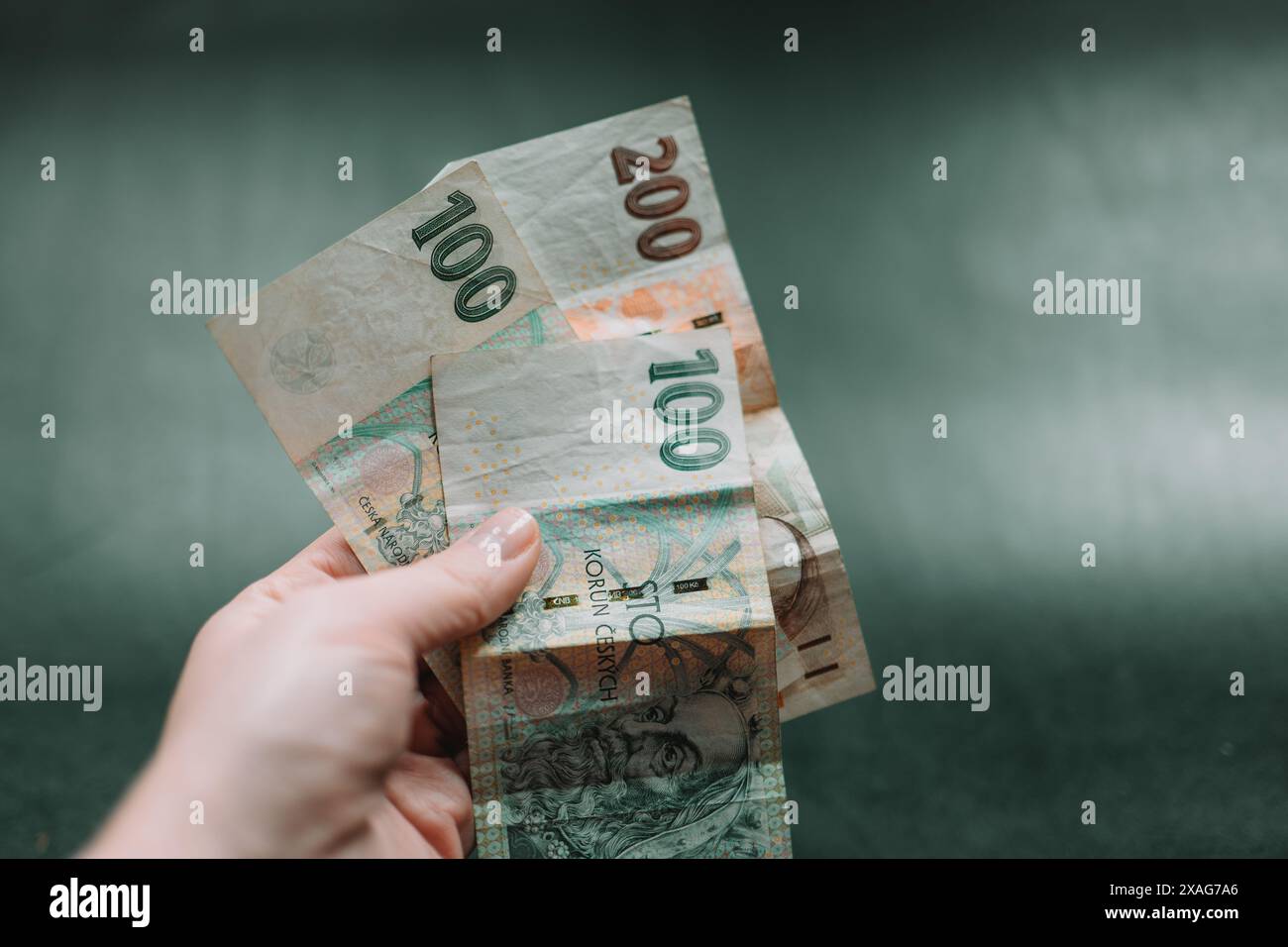 Czech Crowns Banknotes On A Green Background Monetary Currency Of The czech-crowns-banknotes-on-a-green-background-monetary-currency-of-the
