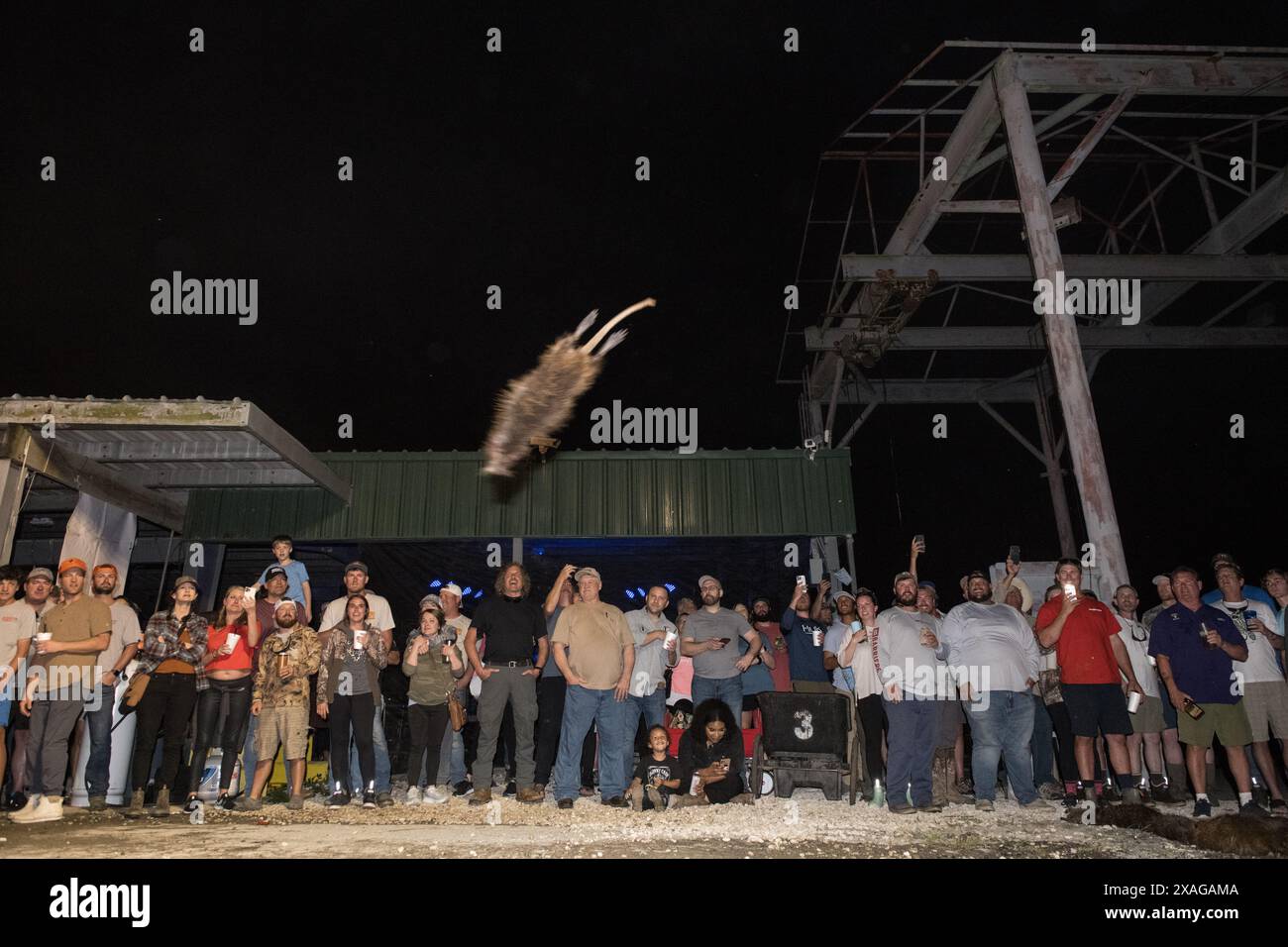 Rodent Rodeo Participant hurls a dead nutria in the
