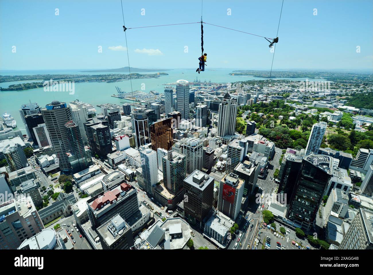 Bungy jumping from the Sky tower in Auckland, New Zealand. Stock Photo