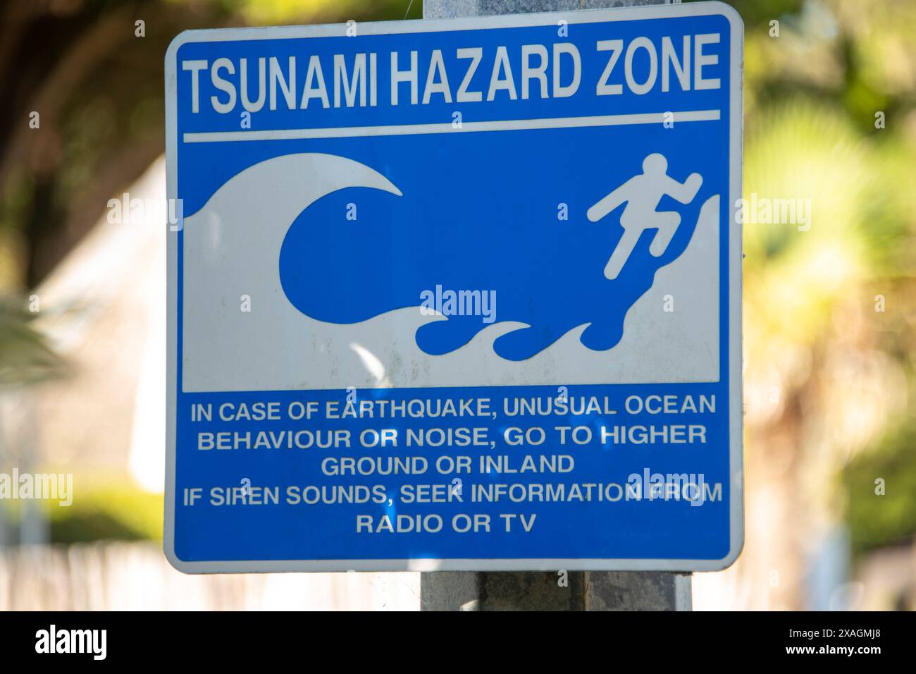 Tsunami risk in hawaii