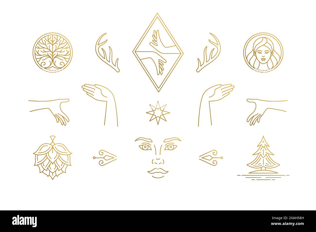 Female Element Vector Vector line feminine decoration design elements set - female face and ...