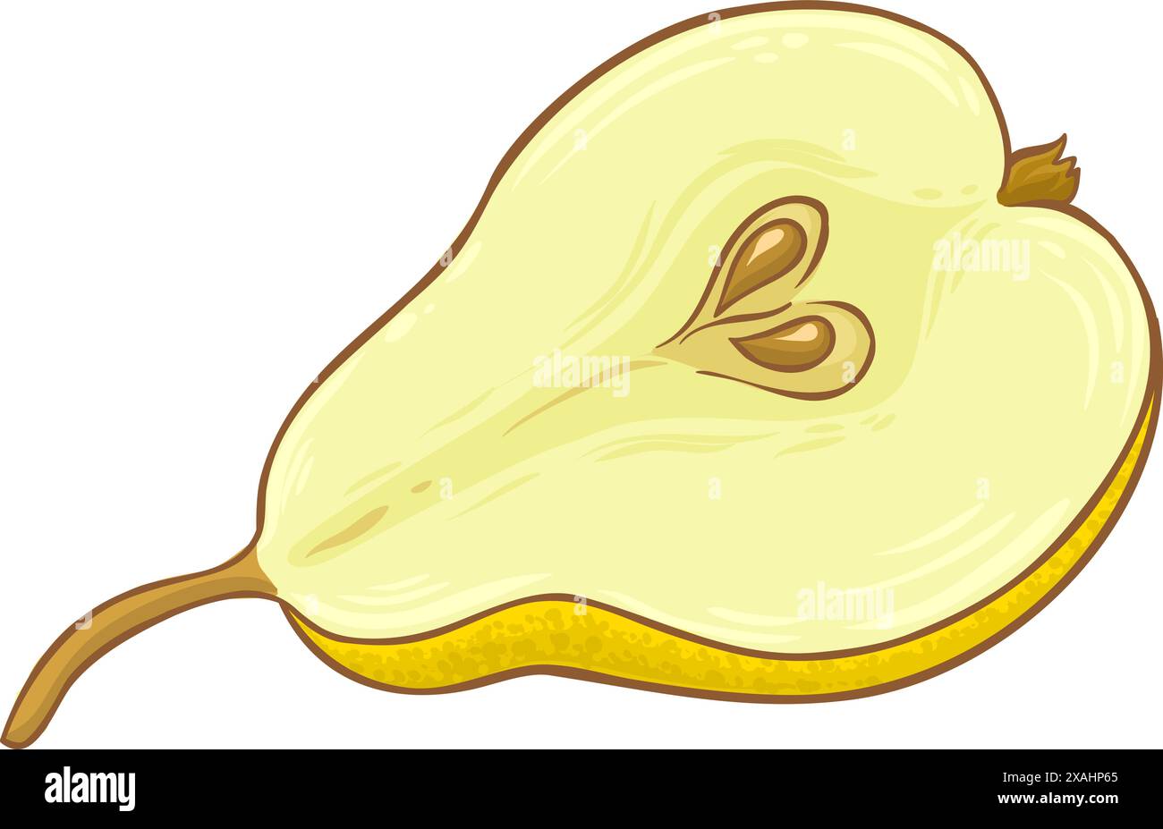 Pear Fruit Colored Detailed Illustration Stock Vector Image & Art - Alamy