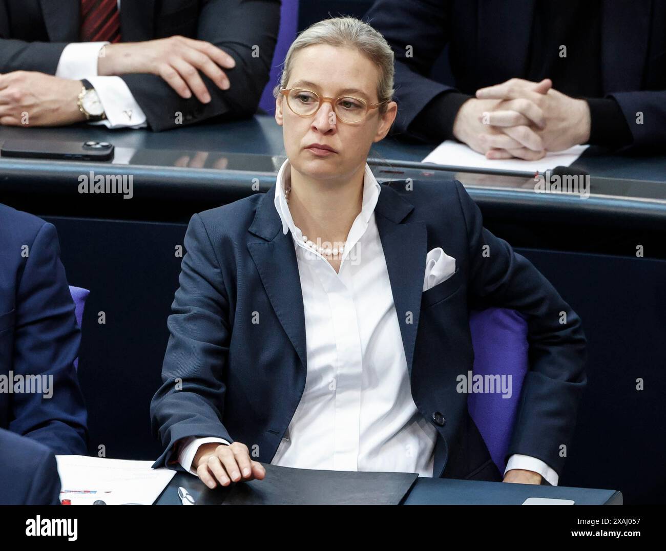 Alice Weidel, leader of the AfD parliamentary group during a session of ...