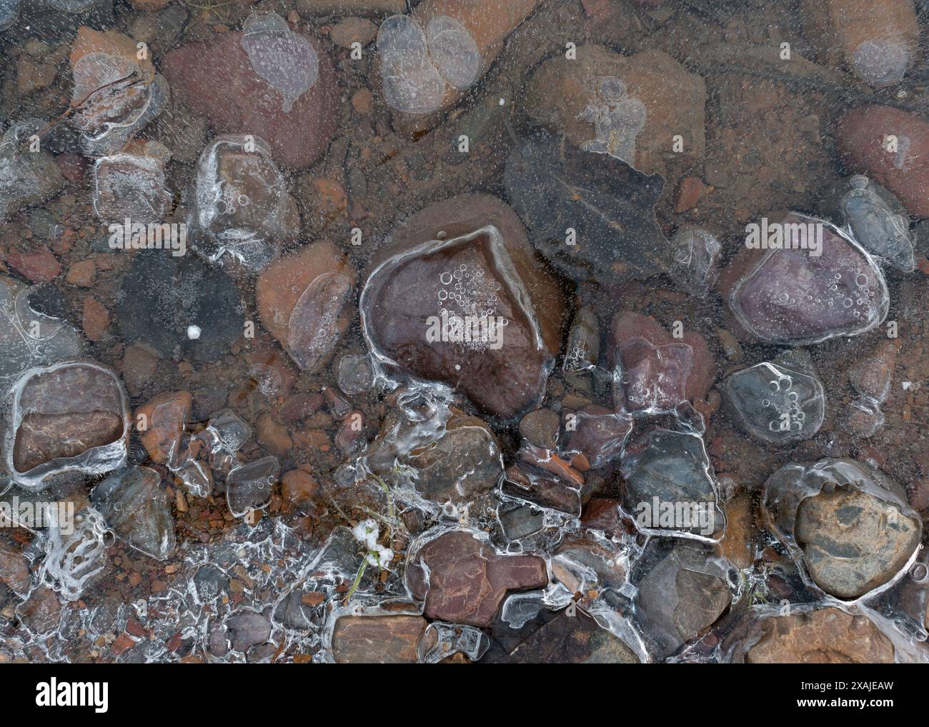 Surface of frozen puddle, gravel under translucent ice Stock Photo - Alamy