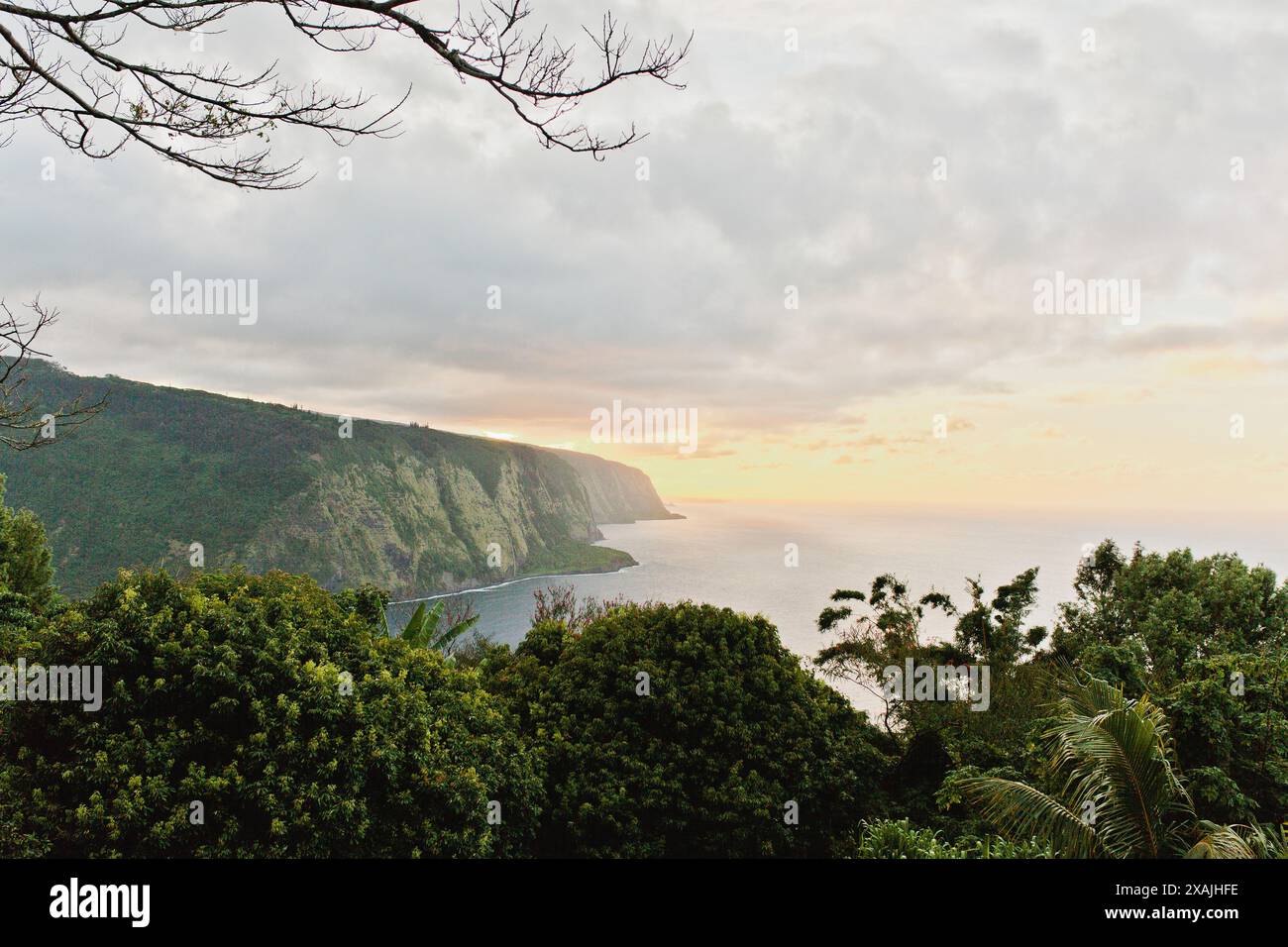 Tropical coastal view hi-res stock photography and images - Alamy