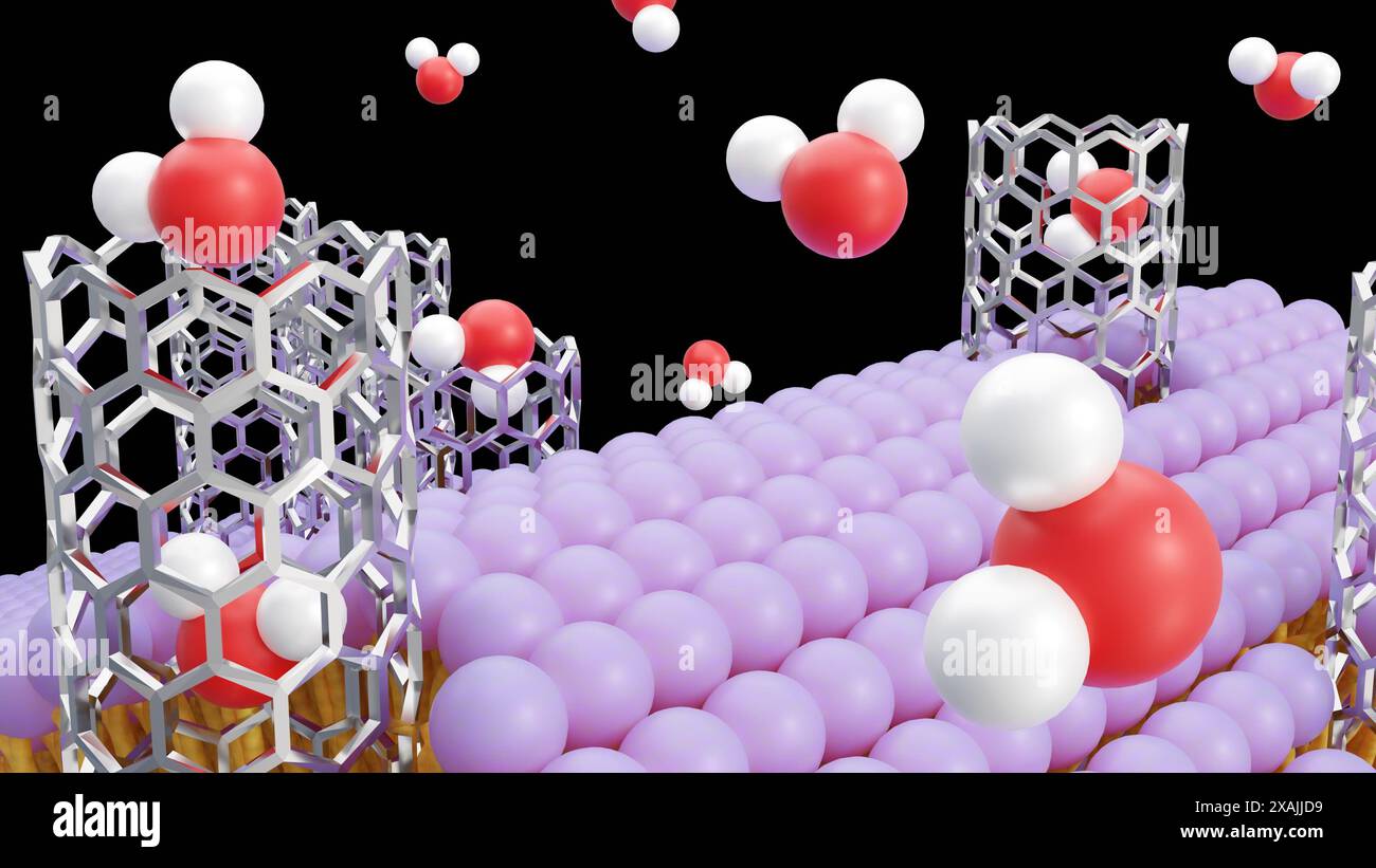 3d rendering of molecules passing through carbon nanotube porins on ...
