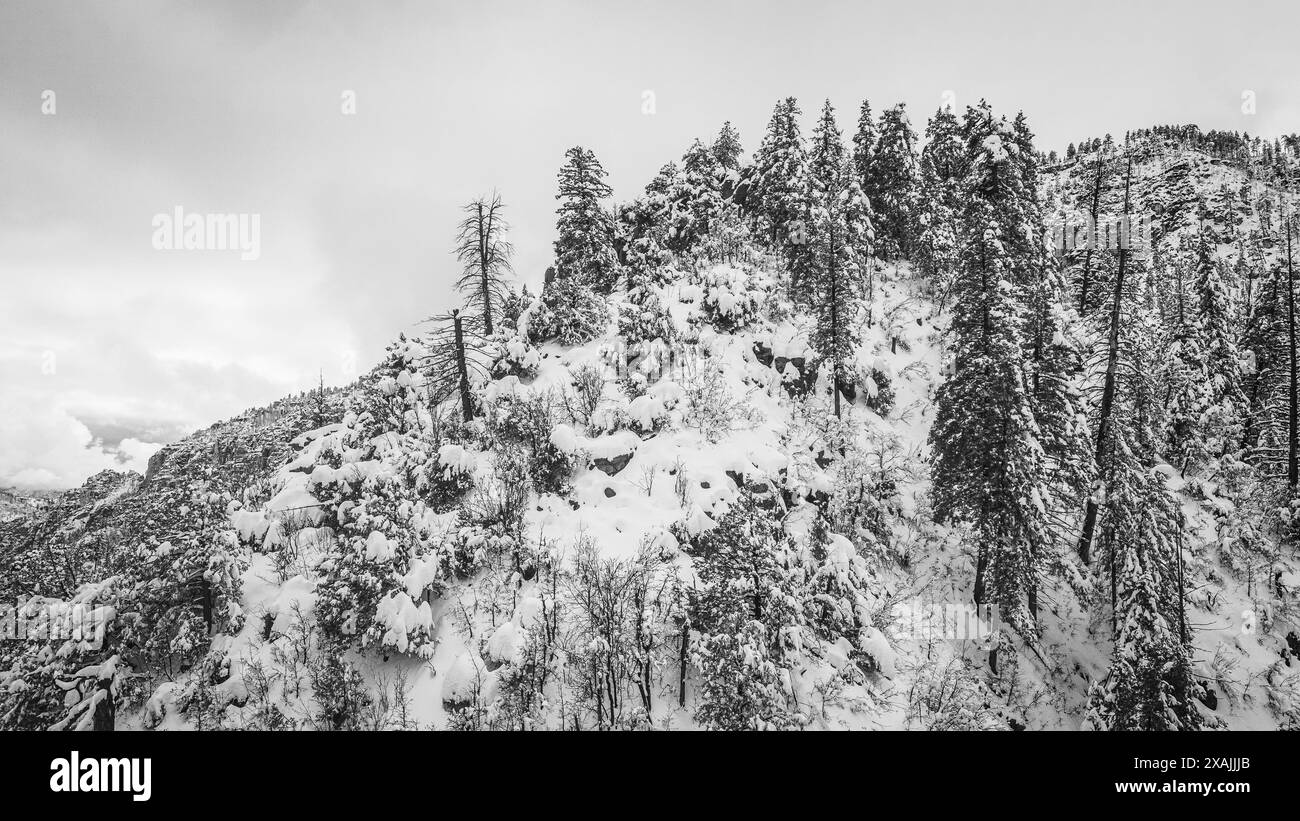 Snow-Covered Forest and Mountain Peaks Black and White Arizona Winter Stock Photo