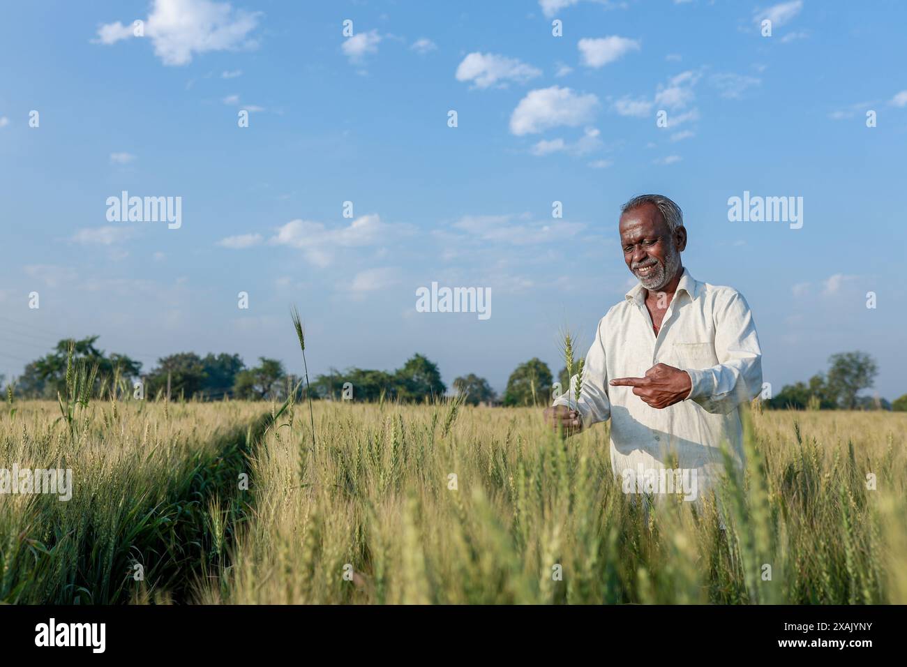 Indian farmer standing at wheat field, Happy farmer Stock Photo